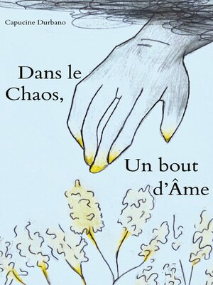 cover image of Dans le Chaos, un bout d'Âme